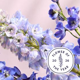 Header navigation sub menu